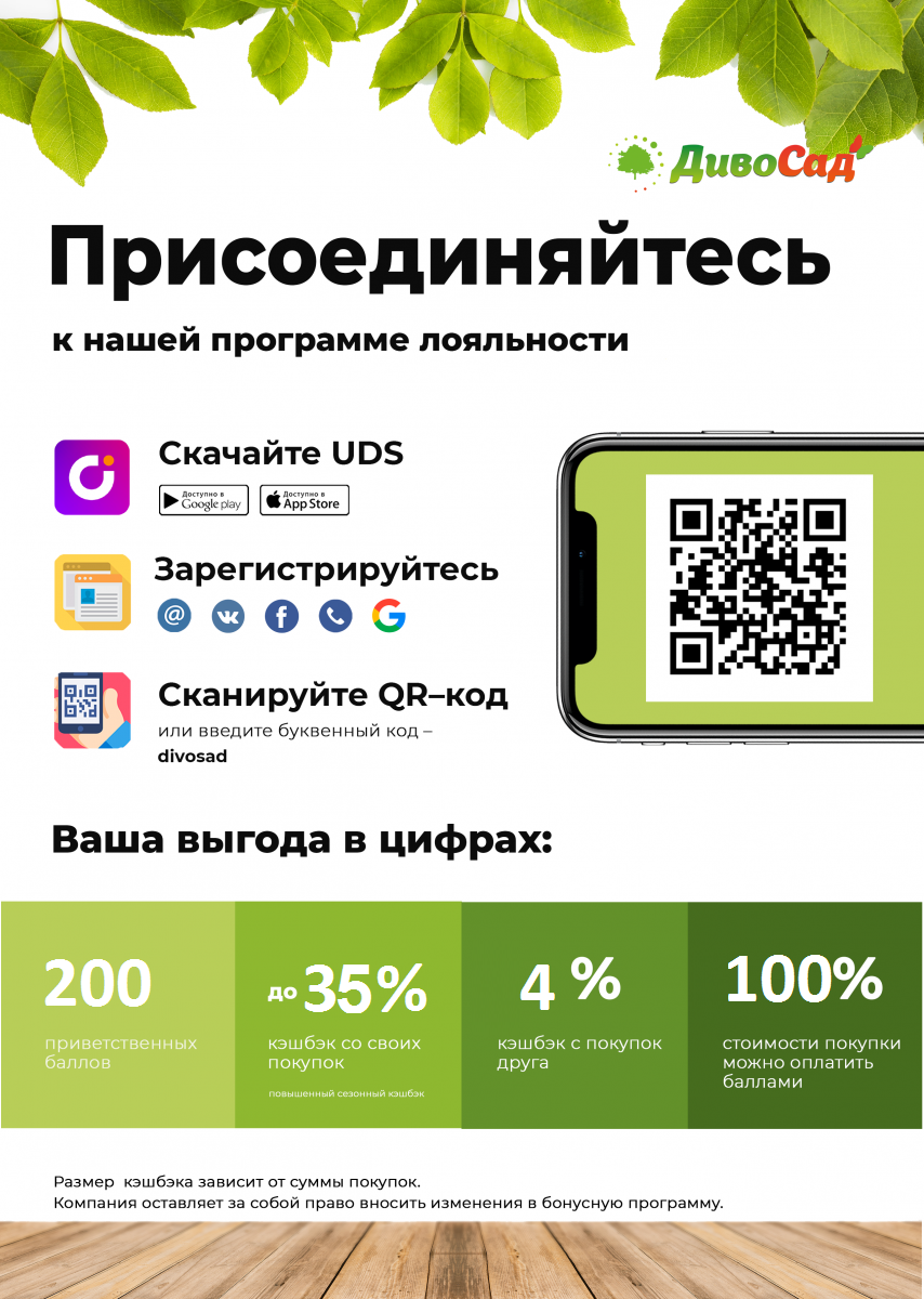 Дивосад. Дивосад