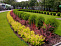 Спирея японская Голден Принцесс (Spiraea japonica Golden Princess) С3