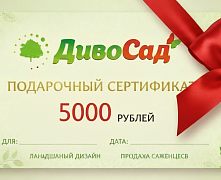 Подарочный сертификат 5000