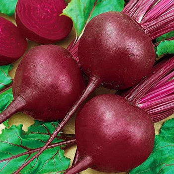 Свекла столовая Мулатка (белый пакет)