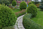 Туя западная Вудварди (Thuja occidentalis Woodwardii)