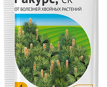РАКУРС (4мл)