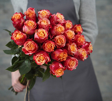 Роза ч/г Силантой (Silantoi Rose)