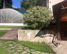 Дерен белый Элегантиссима (Cornus alba Elegantissima) С2/3 40-60см П