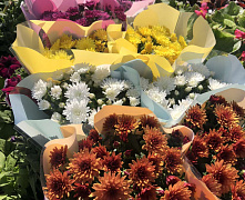 Хризантема в ассортименте