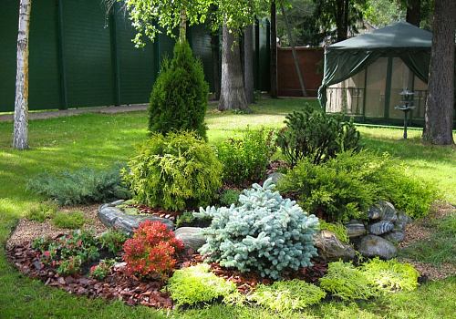 Ель колючая Глаука Глобоза (Picea pungens Glauca Globosa) С18 40-50 см В