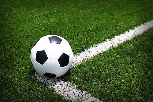 Семена газона "Травосмесь Спортивная" 1кг