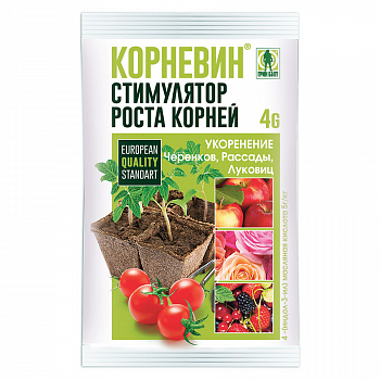 Корневин, 4 г