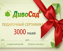 Подарочный сертификат 3000
