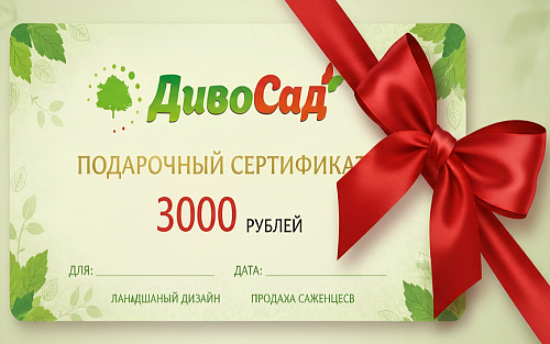 Подарочный сертификат 3000