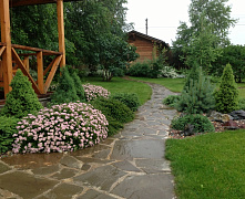 Роза спрей в ассортименте