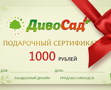 Подарочный сертификат 1000