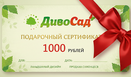 Подарочный сертификат 1000