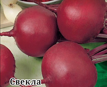 Свекла столовая БОРДО 237 (белый пакет) 