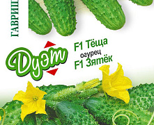 Огурец ЗЯТЕК F1+ТЕЩА F1